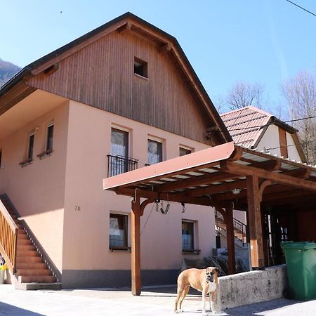 Апартаменты Apartma Na Vasi Zaga Экстерьер фото